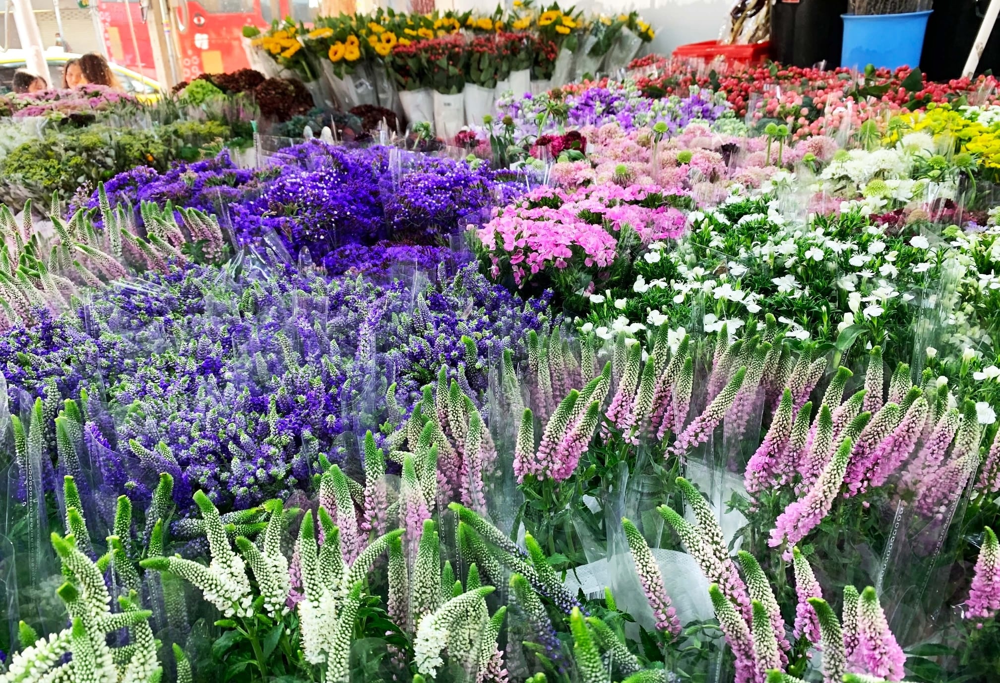 Home-czym-się-zajmujemy-min