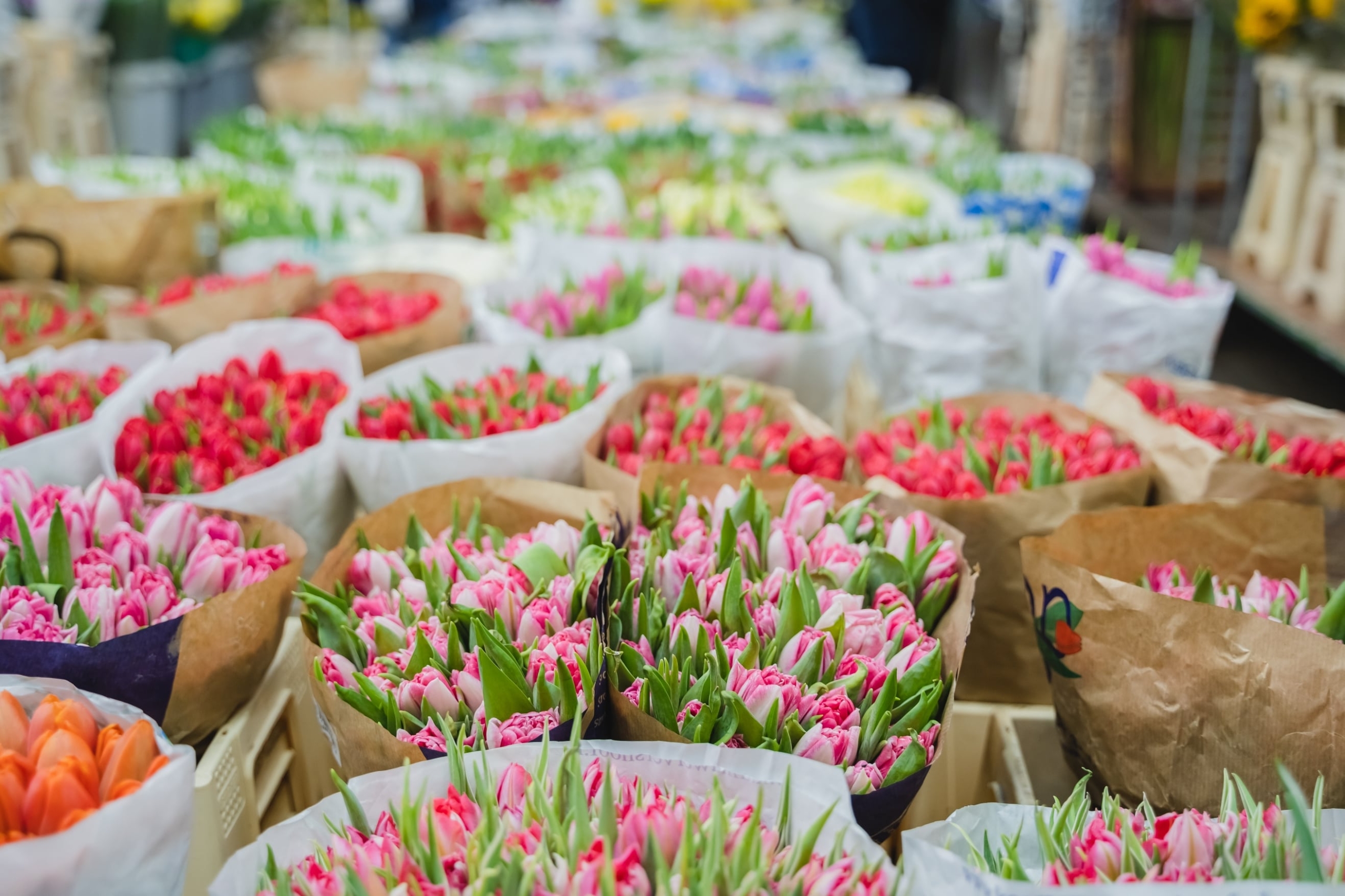 Home-dlaczego-my-min