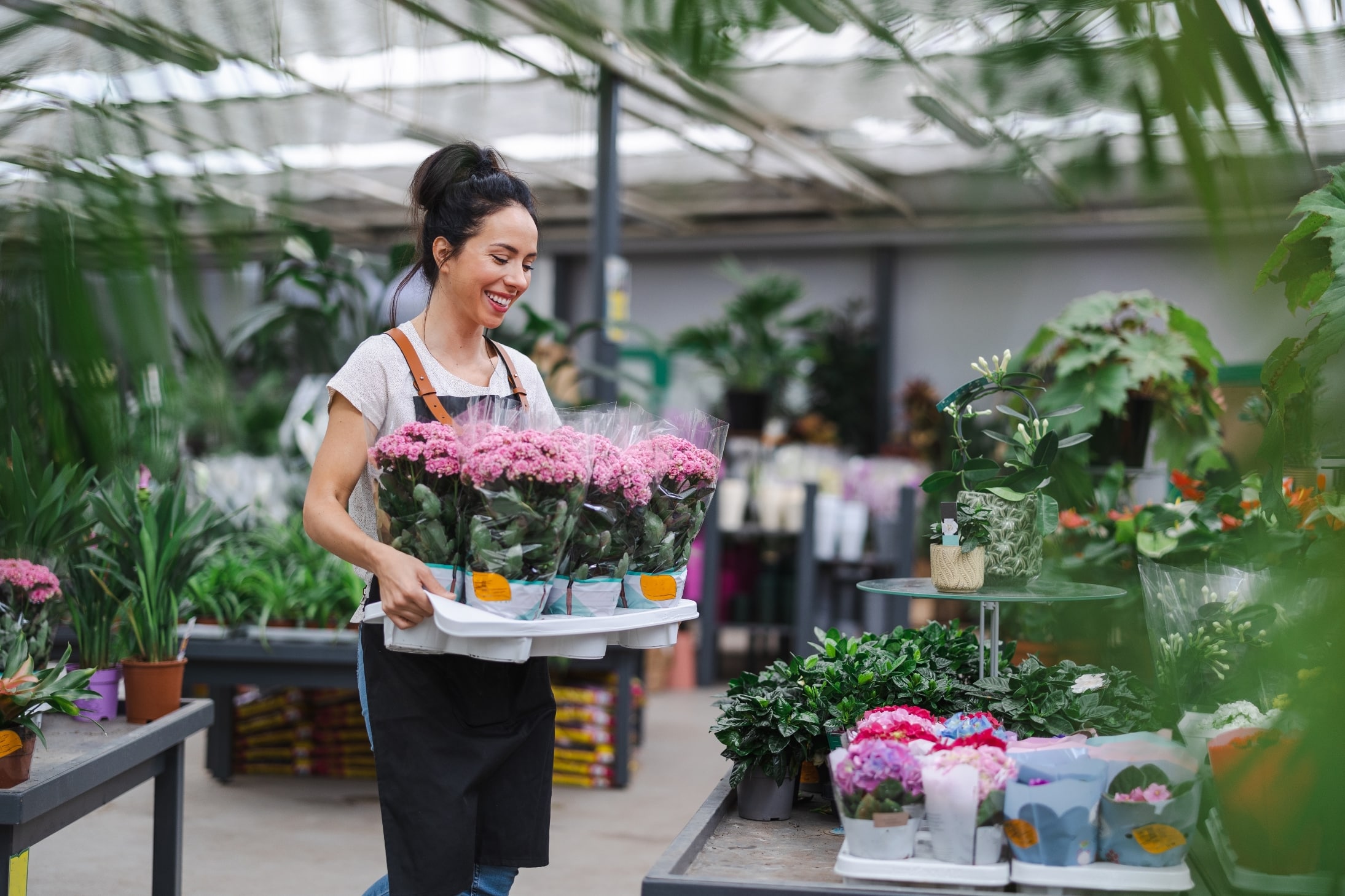 Home-wieloletnie doświadczenie-min